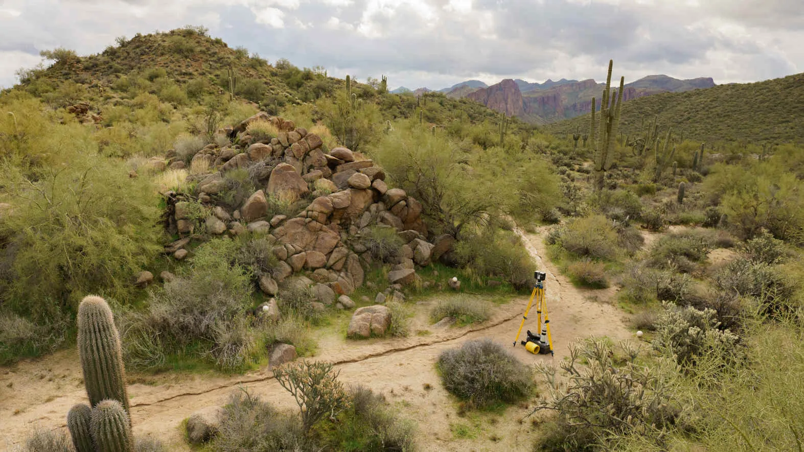 Photo credit: Rick White-Pickett