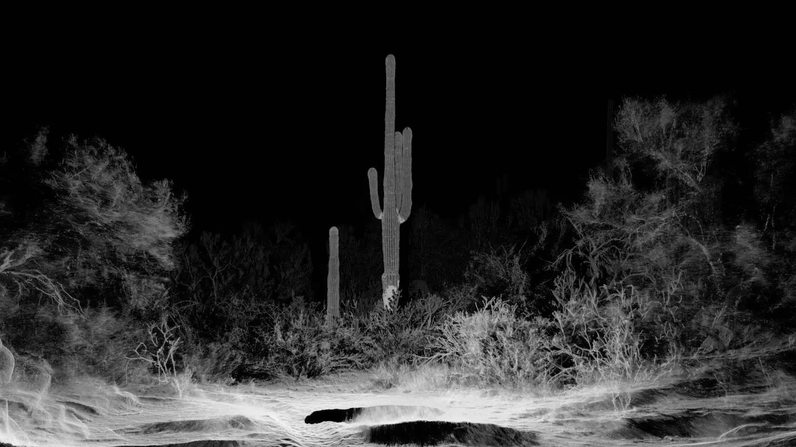 Photo credits: ScanLAB Projects