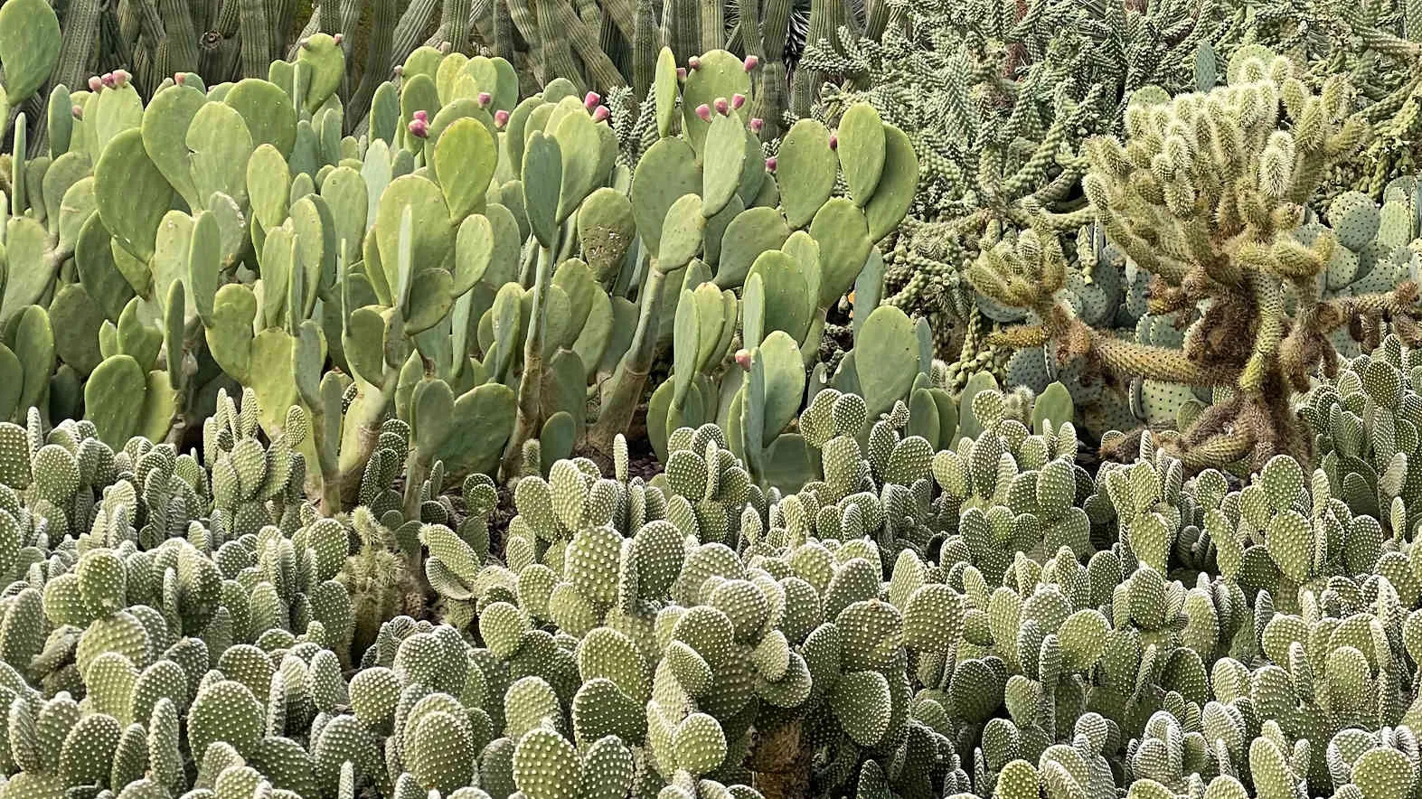 Photo credits: Rick White-Picket