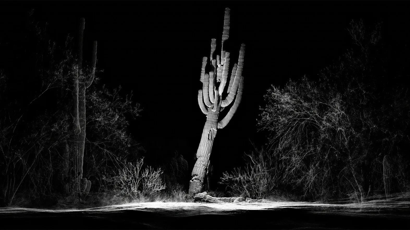 Photo credits: ScanLAB Projects