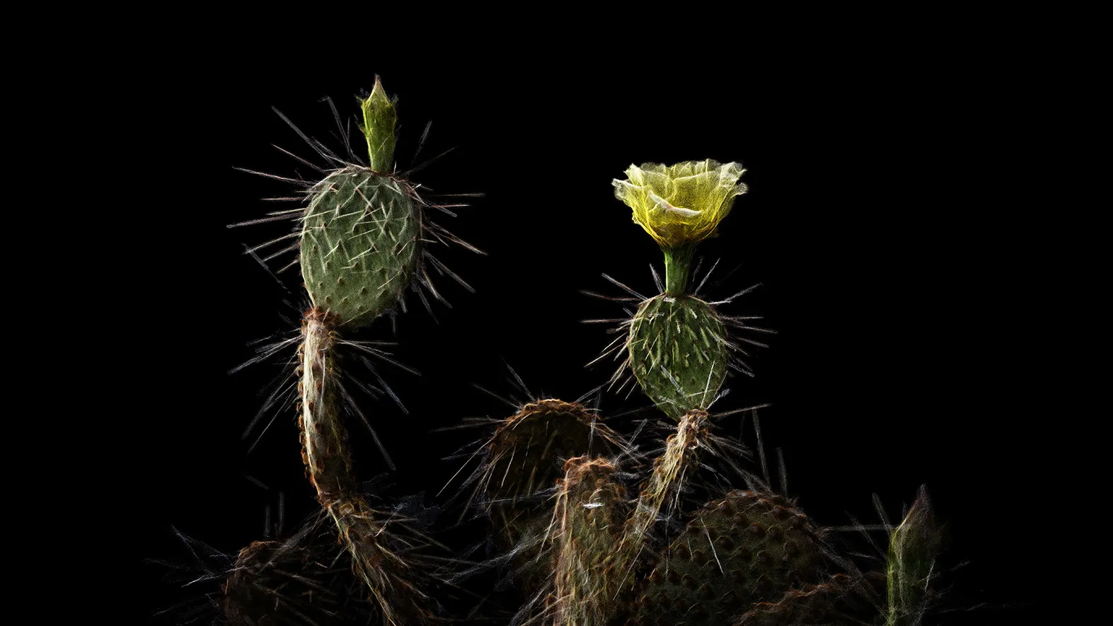 Photo credits: ScanLAB Projects