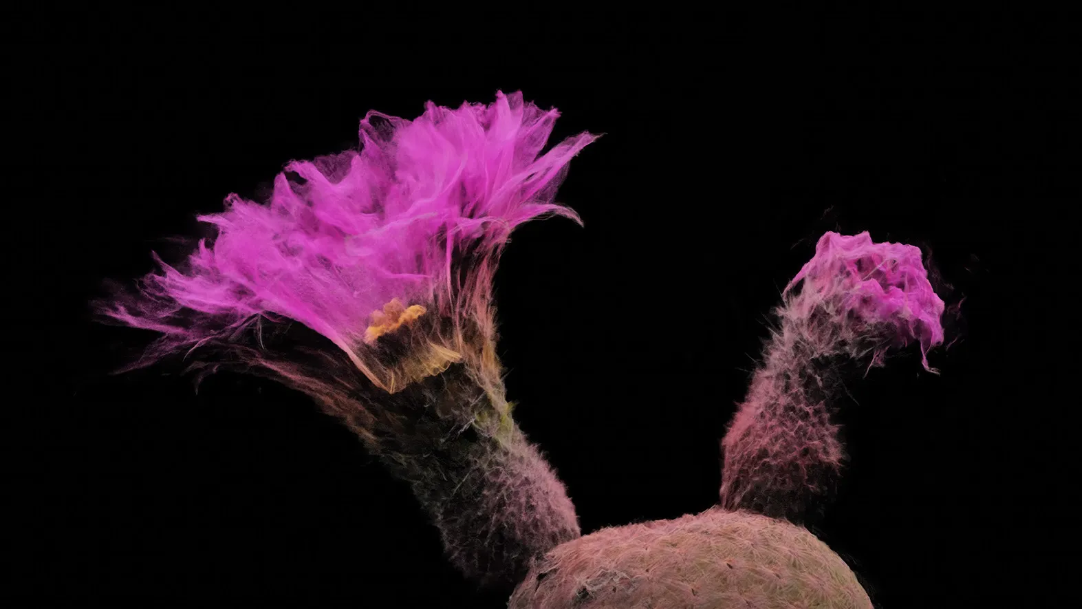 Photo credits: ScanLAB Projects