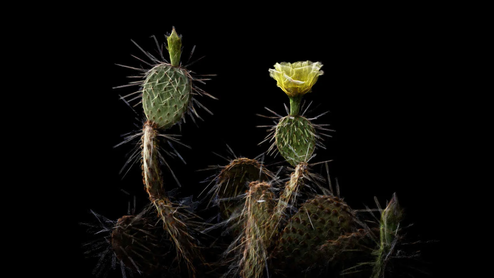 Photo credits: ScanLAB Projects