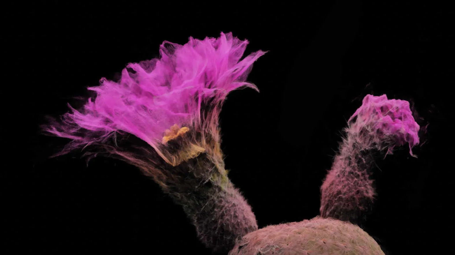 Photo credits: ScanLAB Projects