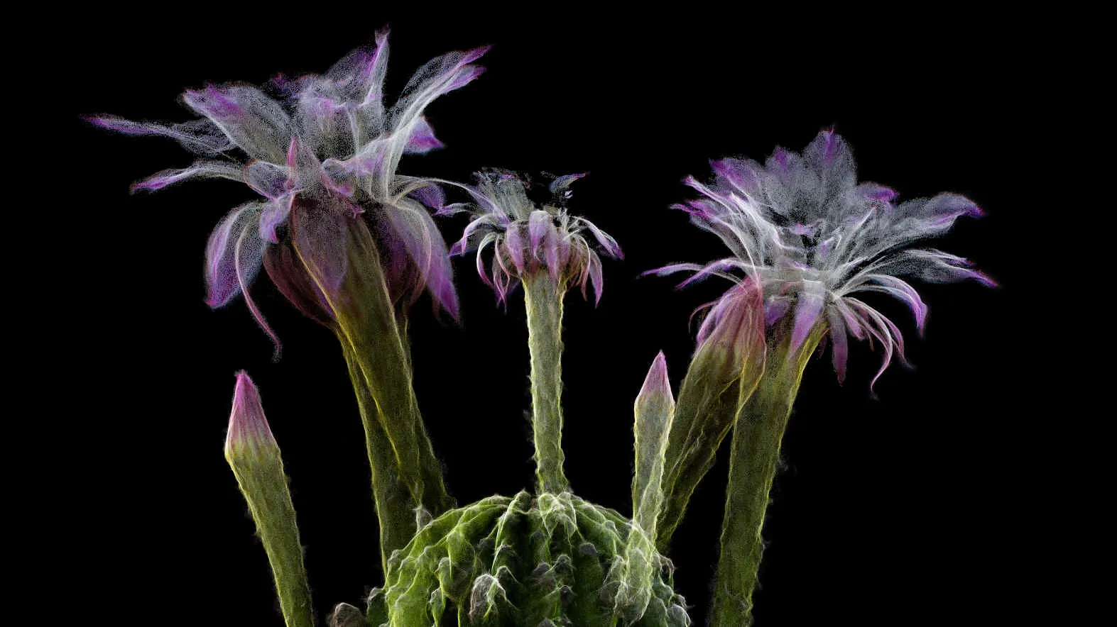 Photo credits: ScanLAB Projects