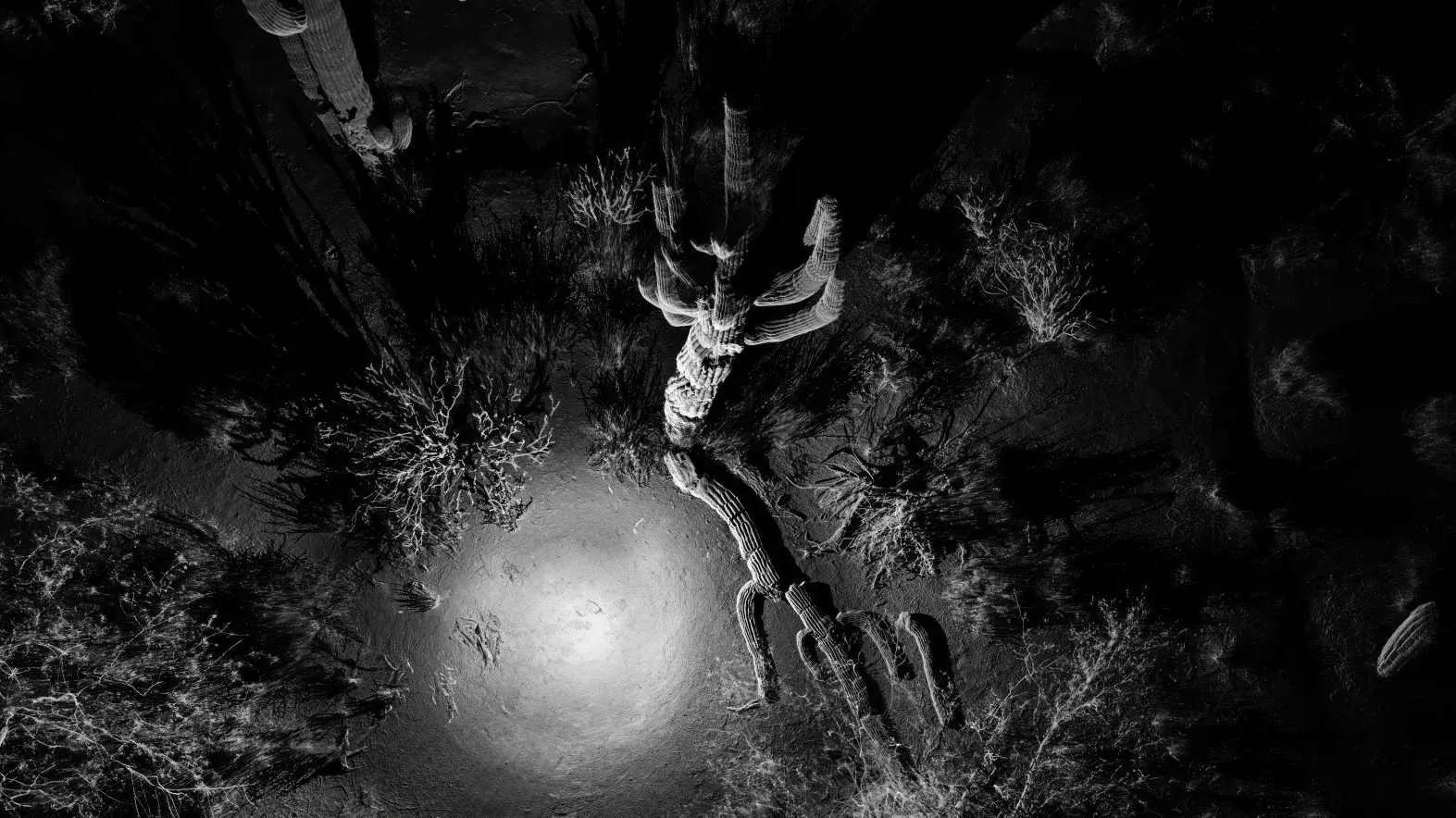 Photo credits: ScanLAB Projects