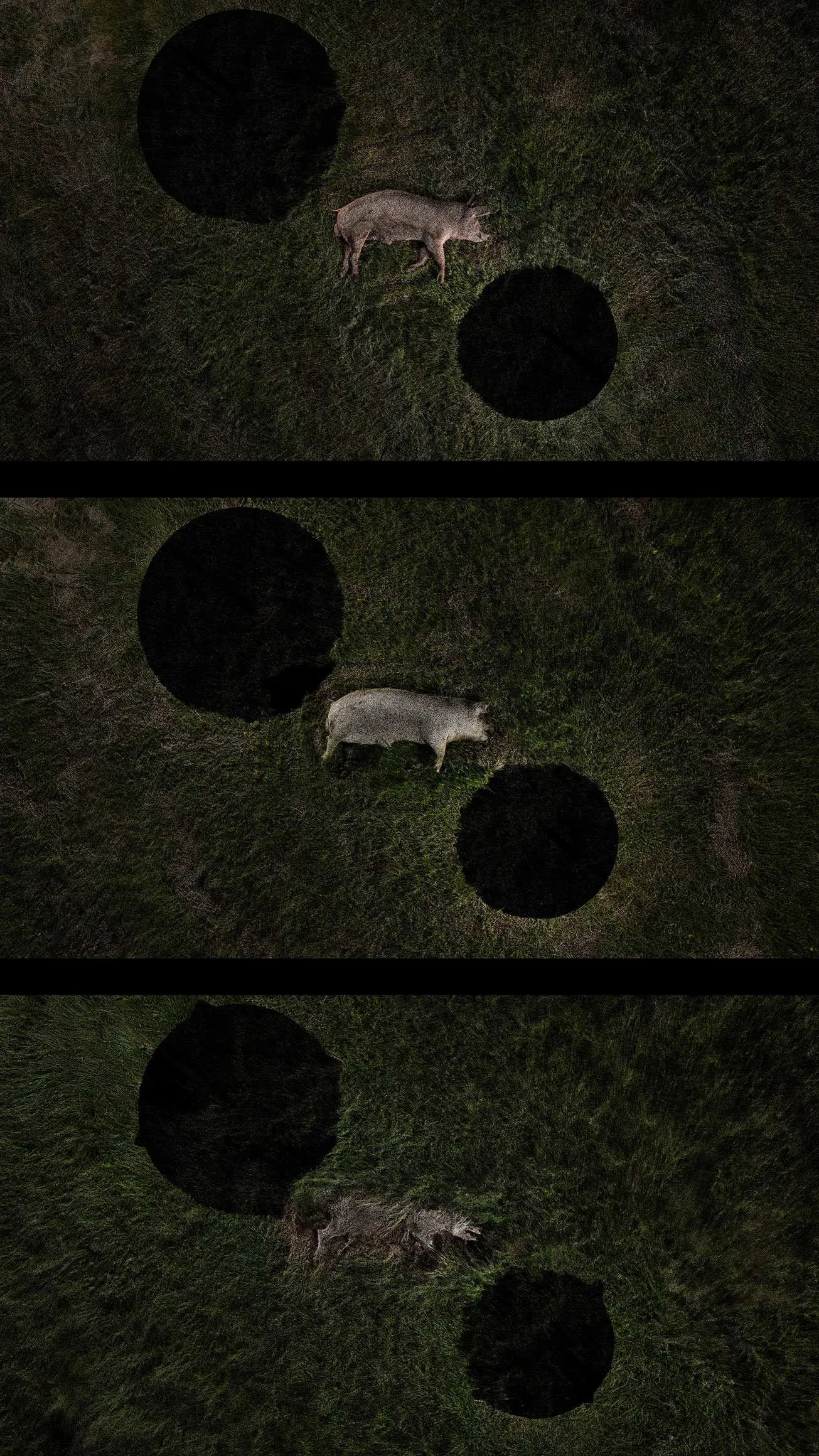 Timelapse 3D scanning