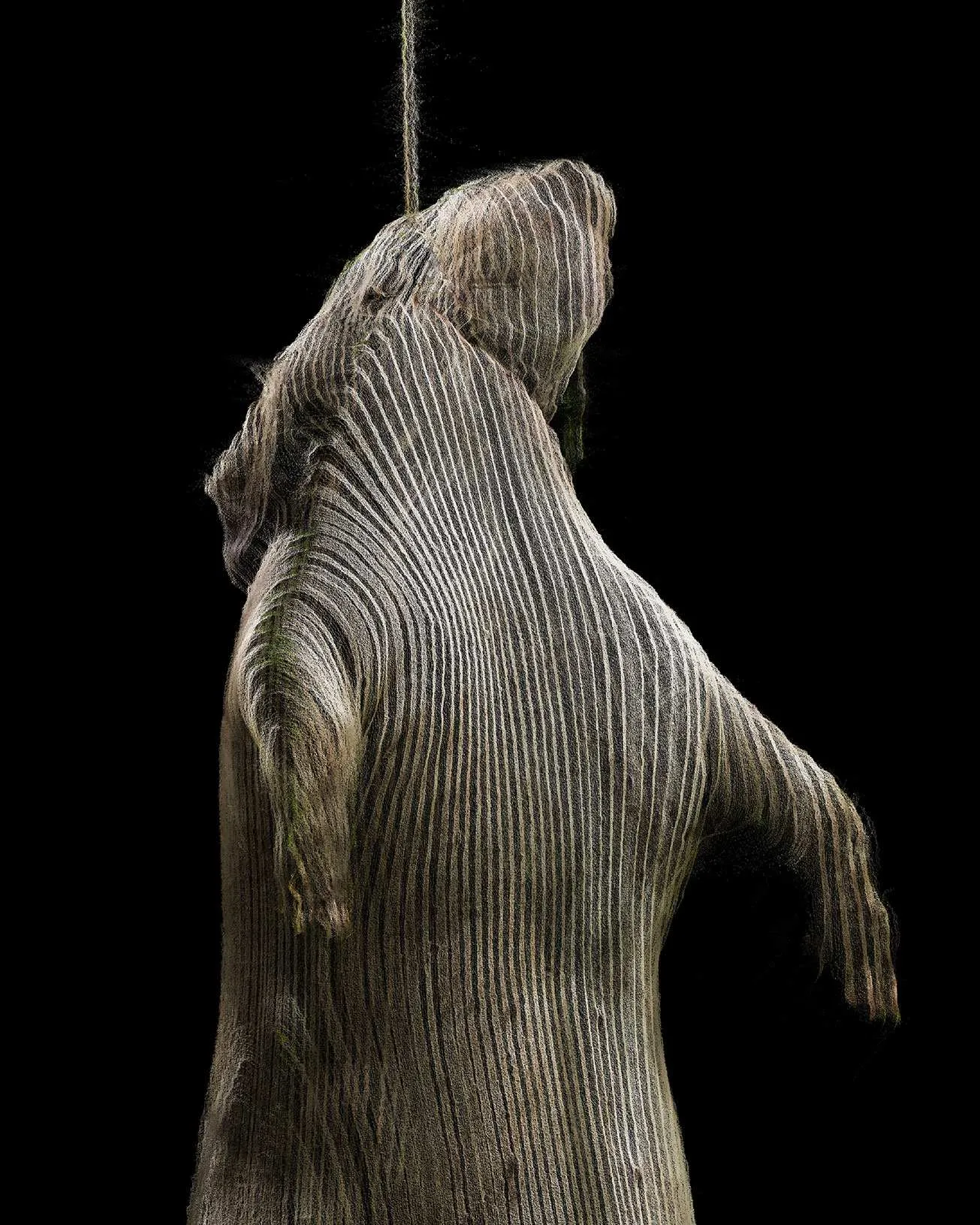 The Hanging - detail