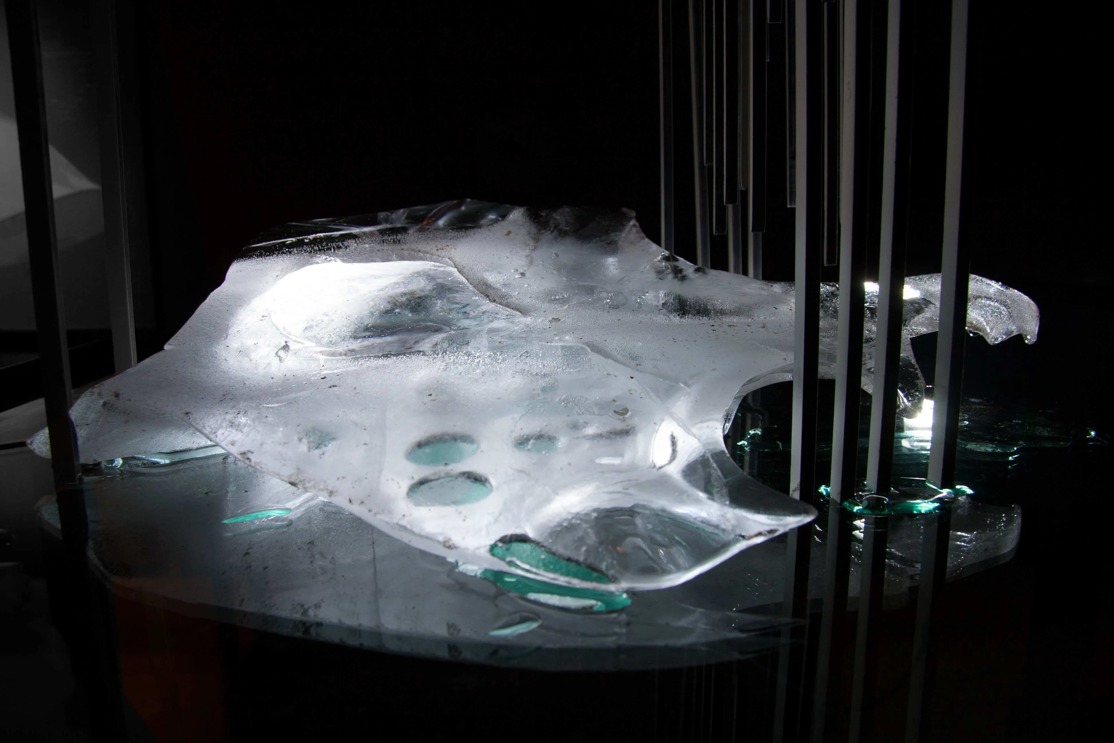 The constantly melting exhibits were replaced every two to three days