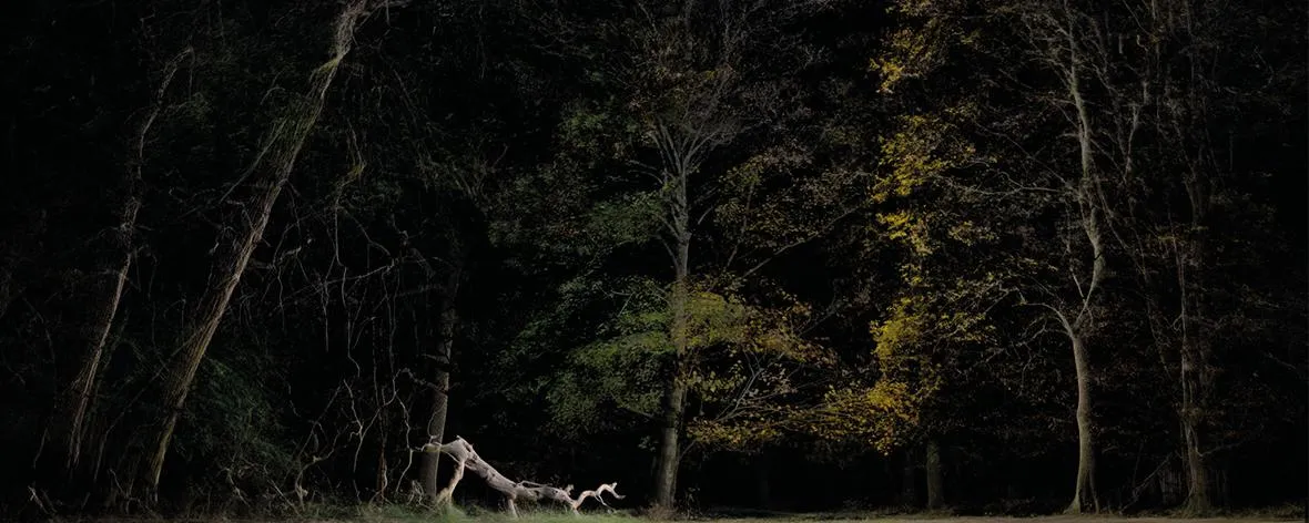 FRAMERATE: Pulse of the Earth