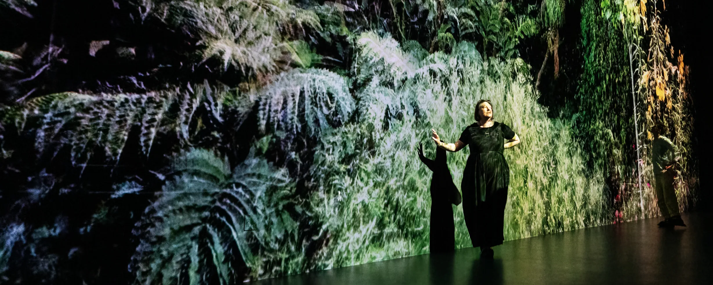 FRAMERATE: Rhythms Around Us