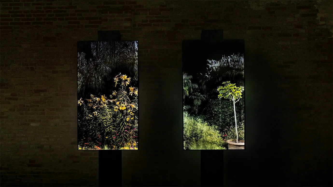 Photo credit: ScanLAB Projects